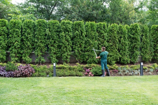 Best Lawn Irrigation Installation and Maintenance  in Marshallville, GA