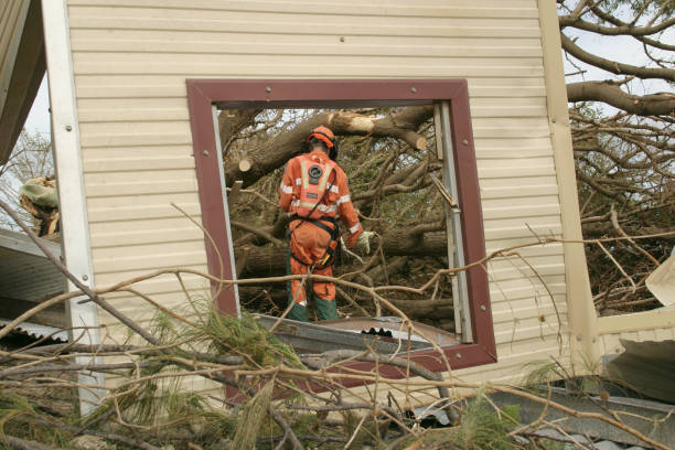 Best Emergency Tree Removal  in Marshallville, GA